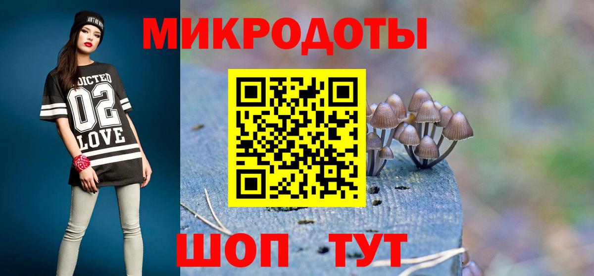 Галлюциногенные грибы Psilocybine cubensis  цена   Свободный  Вход с VPN 