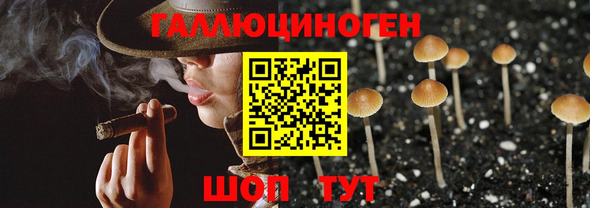 Псилоцибиновые грибы мицелий Свободный